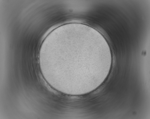 X0000110891436200907301531