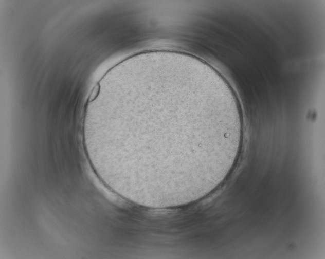 X0000110891437200907301531