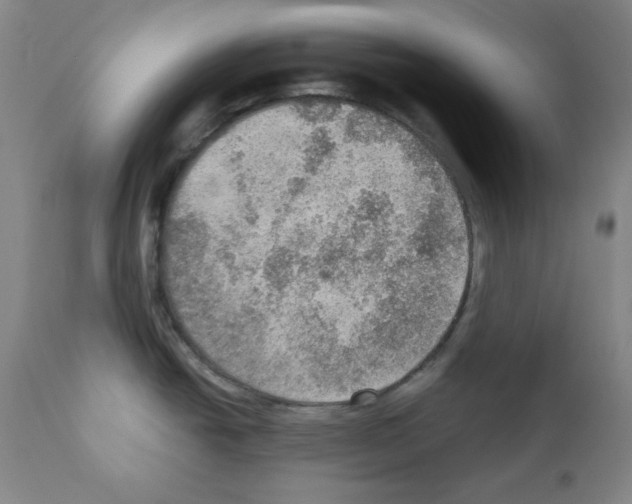 X0000110891438200907301531