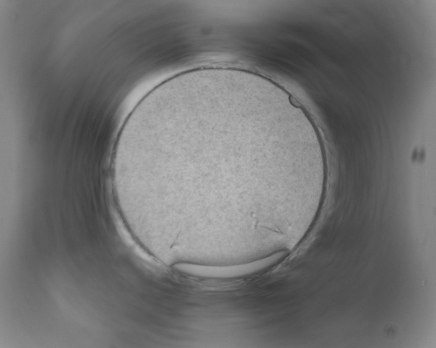 X0000110891440200907301532