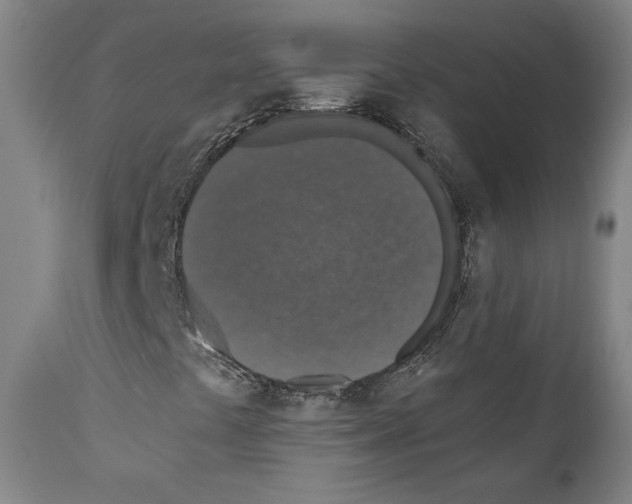 X0000110891441200907301531
