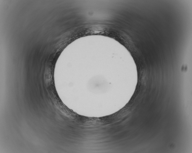 X0000110891442200907301531