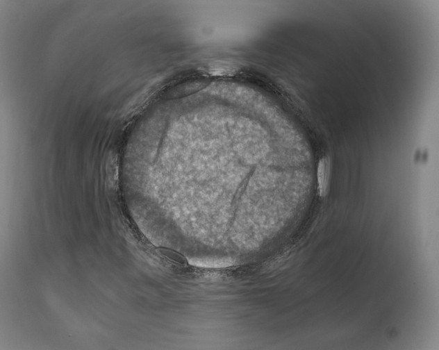X0000110891443200907301531