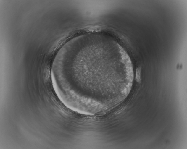 X0000110891444200907301531
