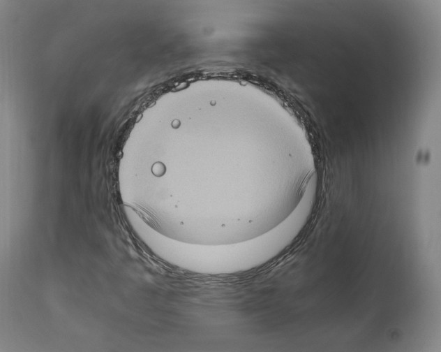 X0000110891445200907301531