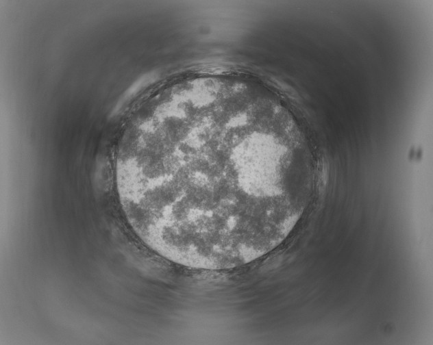 X0000110891446200907301531