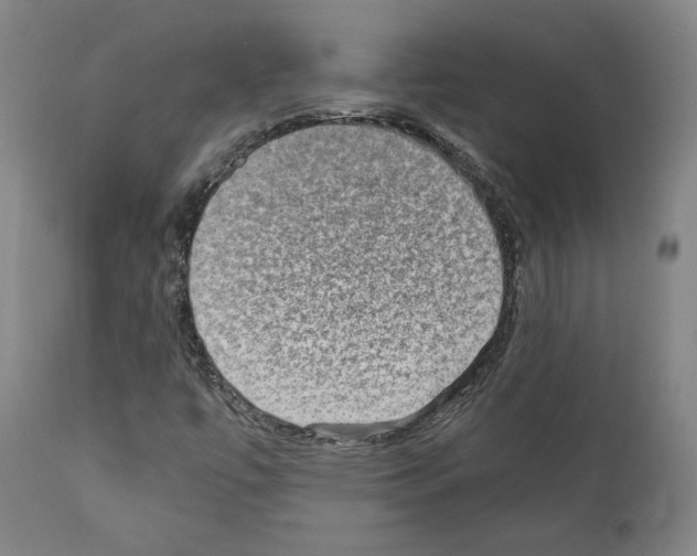 X0000110891447200907301531