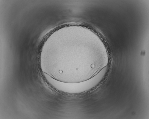 X0000110891448200907301531