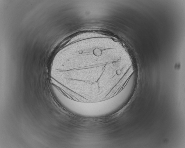 X0000110891449200907301531