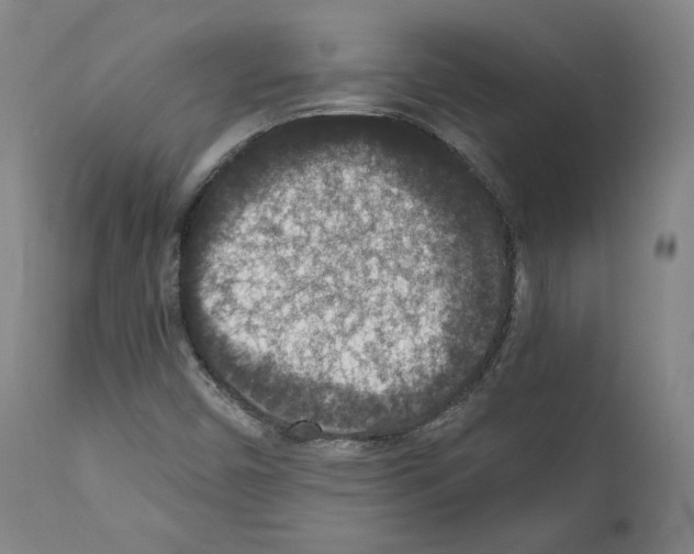X0000110891450200907301531