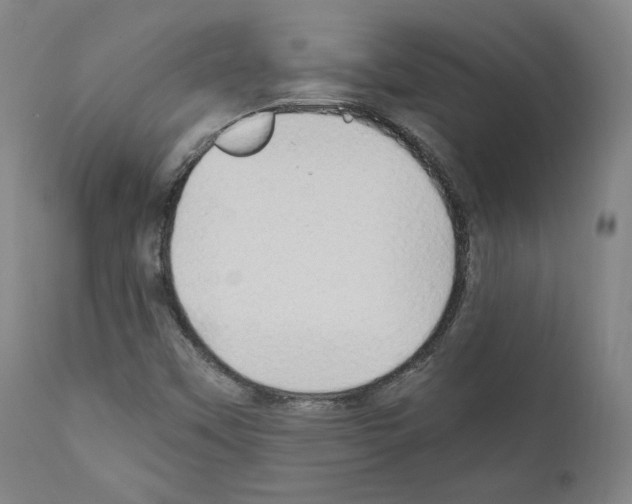 X0000110891451200907301531
