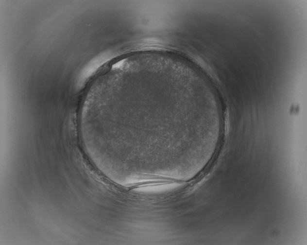 X0000110891453200907301531
