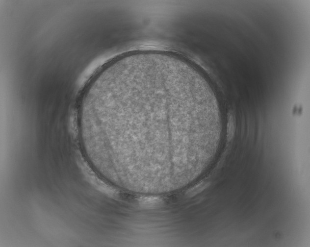 X0000110891454200907301531