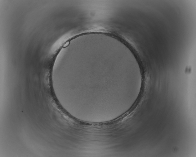 X0000110891455200907301531