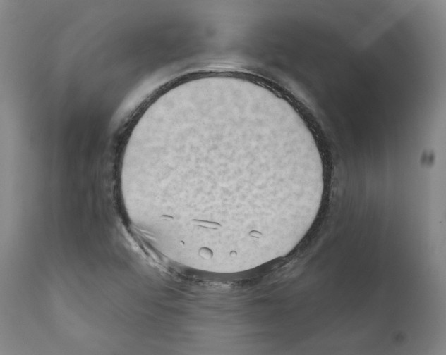 X0000110891456200907301531