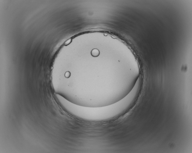X0000110891457200907301531