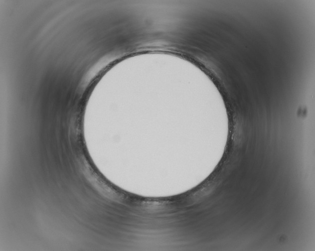 X0000110891458200907301531