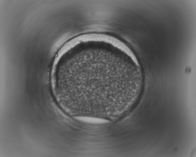 X0000110891459200907301531