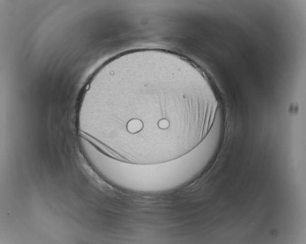 X0000110891460200907301531