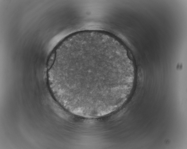X0000110891461200907301531