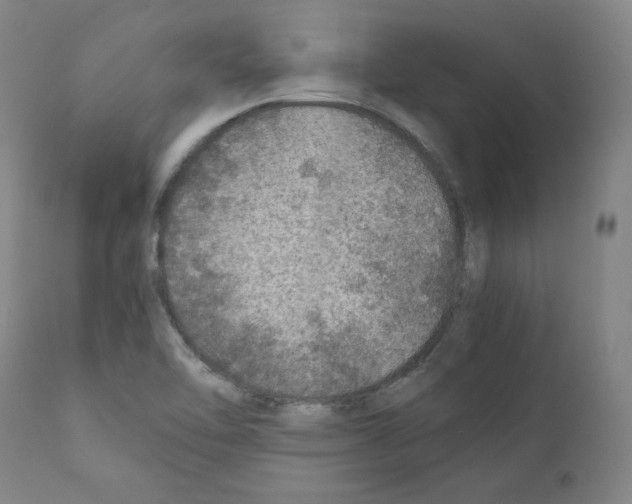 X0000110891462200907301531