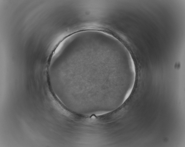 X0000110891463200907301531