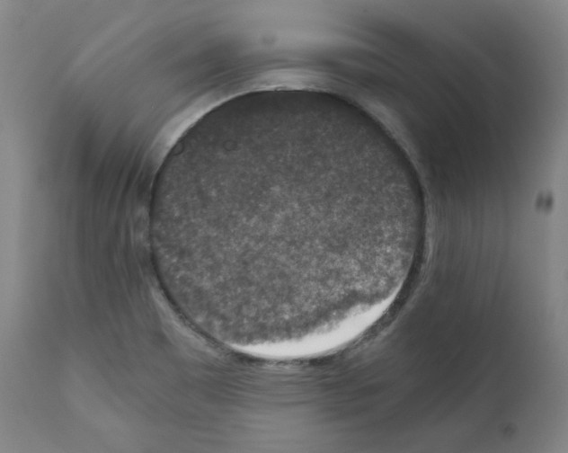 X0000110891465200907301531