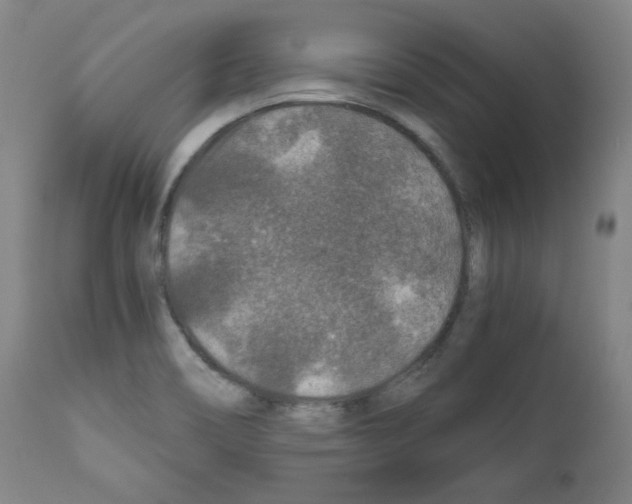 X0000110891466200907301531