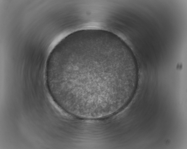 X0000110891469200907301530