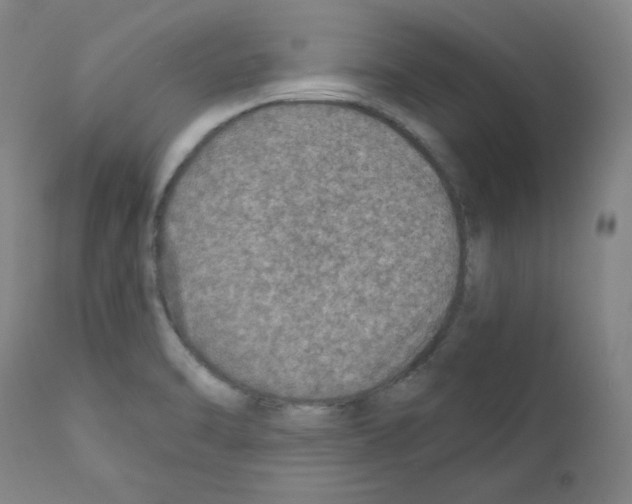 X0000110891470200907301530