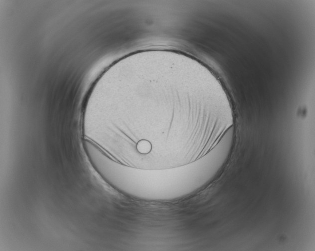 X0000110891472200907301530