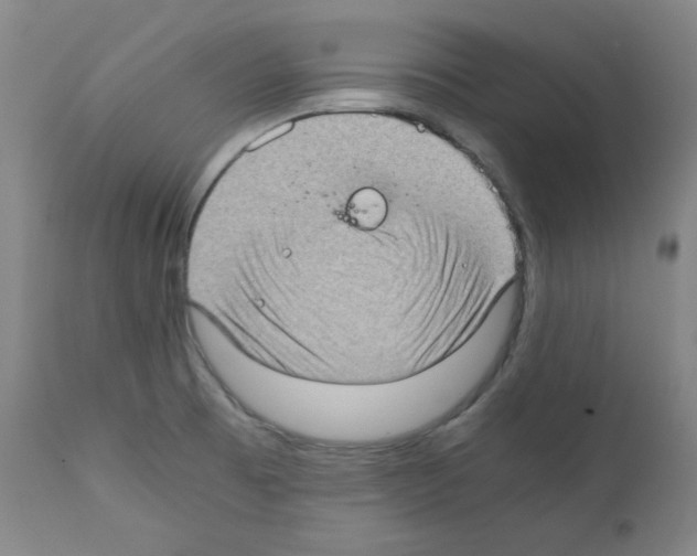 X0000110891473200907301530