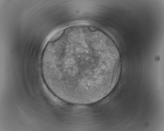 X0000110891475200907301530