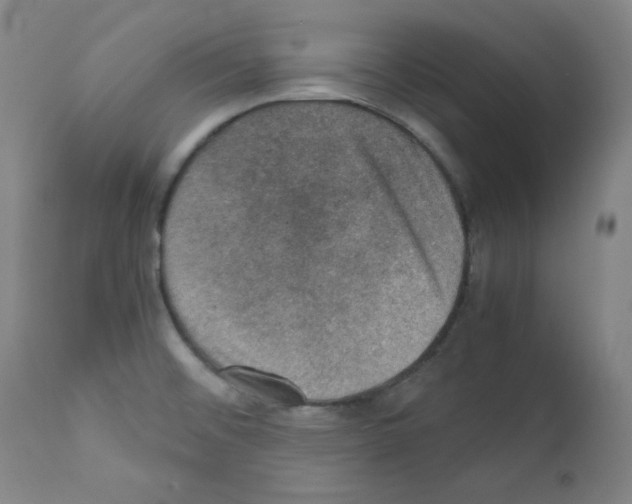 X0000110891476200907301530