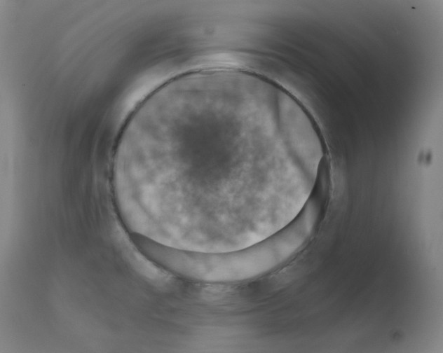 X0000110891477200907301530