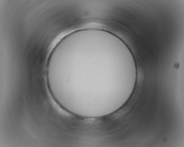 X0000110891478200907301530