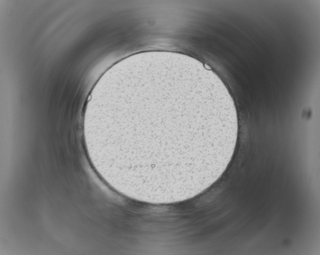 X0000110891479200907301530