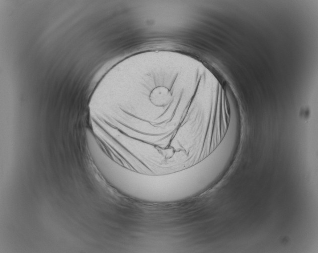 X0000110891481200907301530