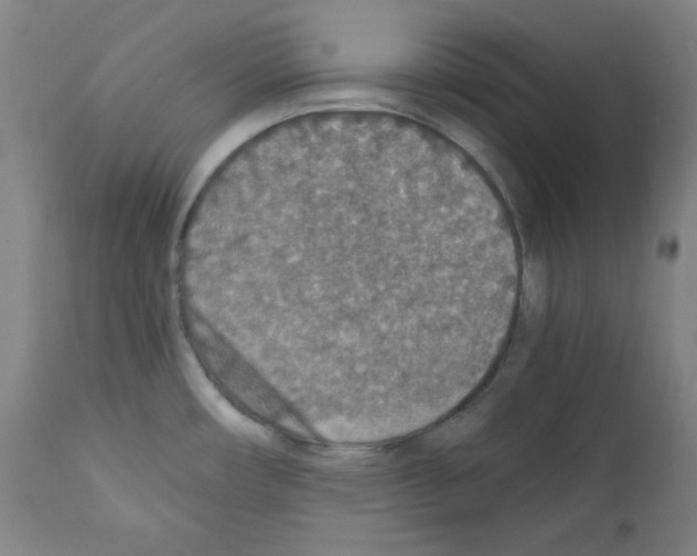 X0000110891482200907301530
