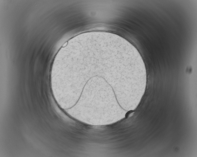 X0000110891483200907301530