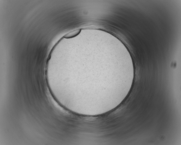 X0000110891484200907301530