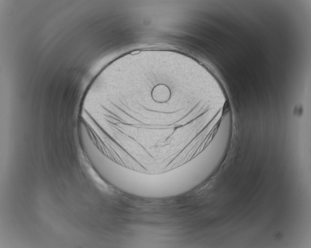 X0000110891485200907301530