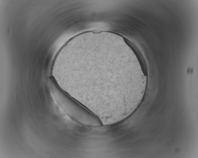 X0000110891488200907301530
