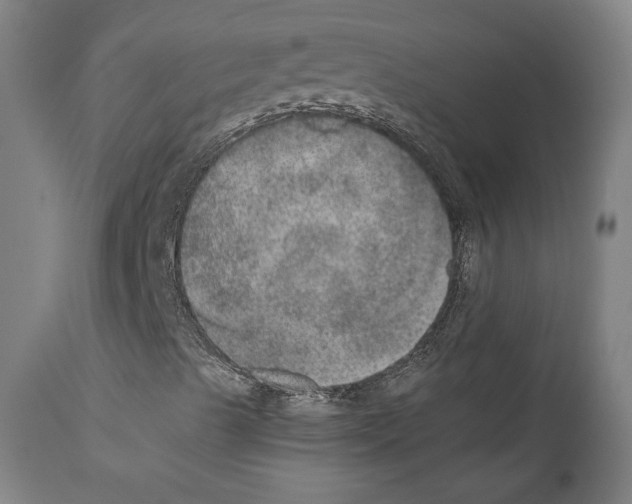 X0000110891489200907301529