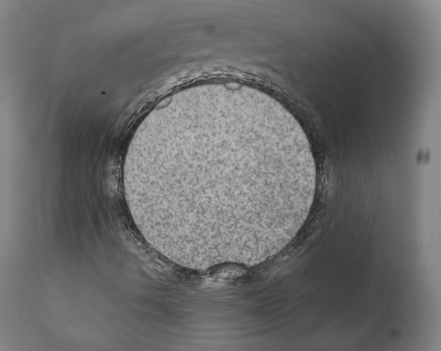 X0000110891490200907301529