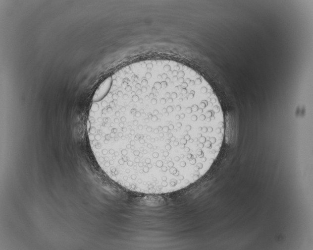X0000110891491200907301529