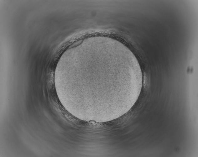 X0000110891492200907301529