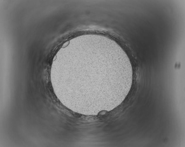 X0000110891493200907301529