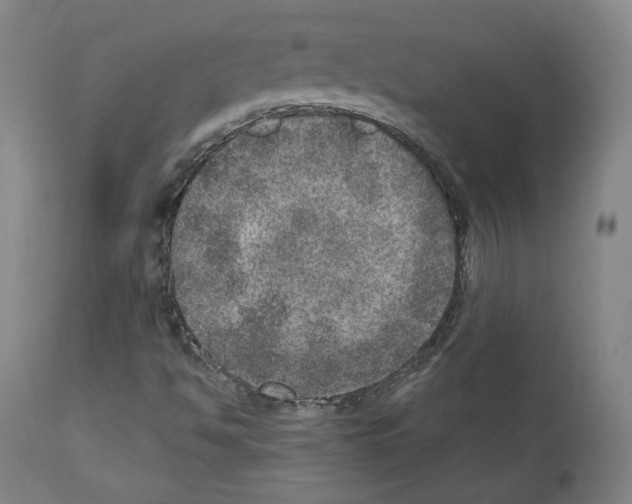 X0000110891494200907301529