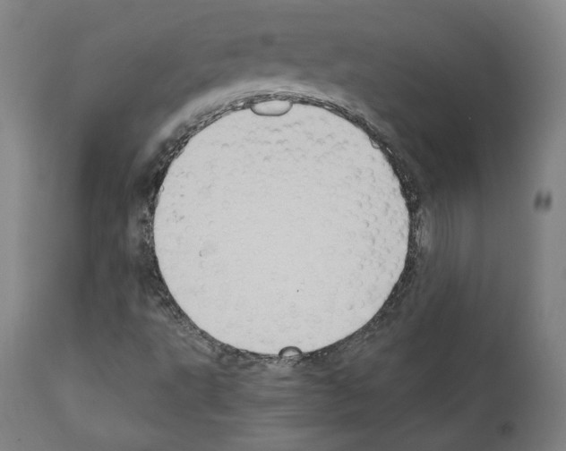 X0000110891495200907301529